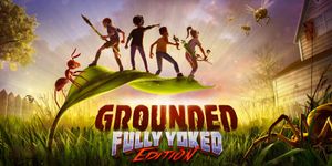 grounded.jpg