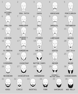 Facial_hairstyles.svg.png