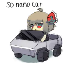 sonanocar.jpg