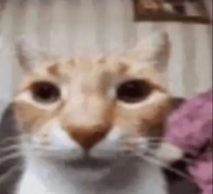 1750958408111351.png