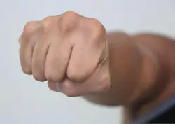 25844.jpg