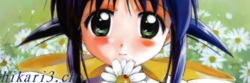 8322c1c54da6743b2a0e539fd1f17dc134e906e54137f185d59b4b38ad33ff88.png