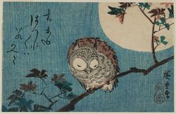 owl.jpg