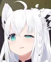images.jpeg