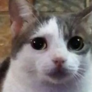 1756417075904323.jpg