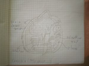 IMG_20250720_134754.jpg
