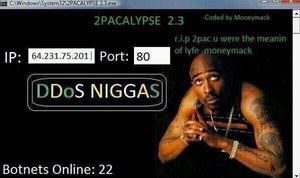 5285.jpg