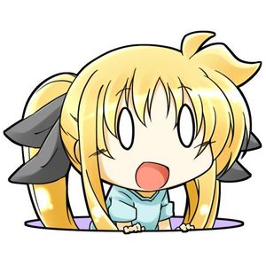 1703997462422.jpg
