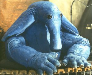 Maxrebo-3285345331.jpg